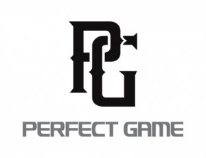 Perfect Game baseball