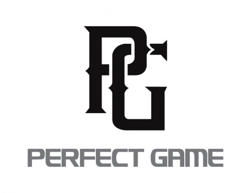 Perfect Game baseball