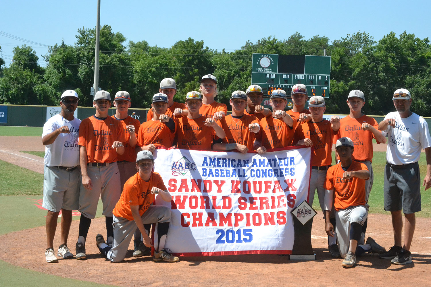 tigers baseball team