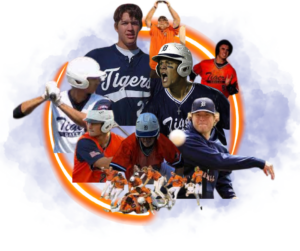 Dallas Tigers Baseball Club - Dallas Select Baseball Teams
